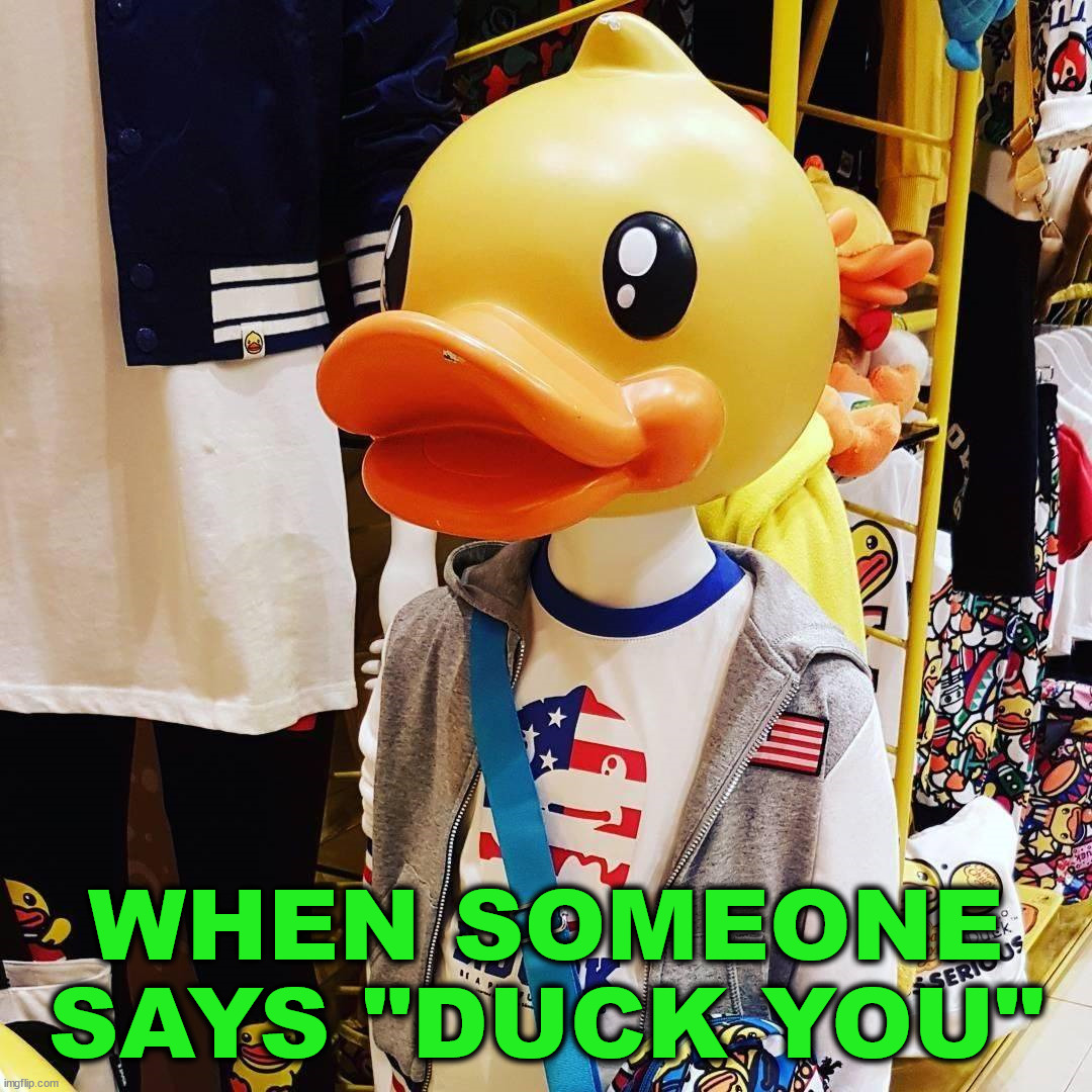 WHEN SOMEONE SAYS "DUCK YOU" | image tagged in ducks | made w/ Imgflip meme maker
