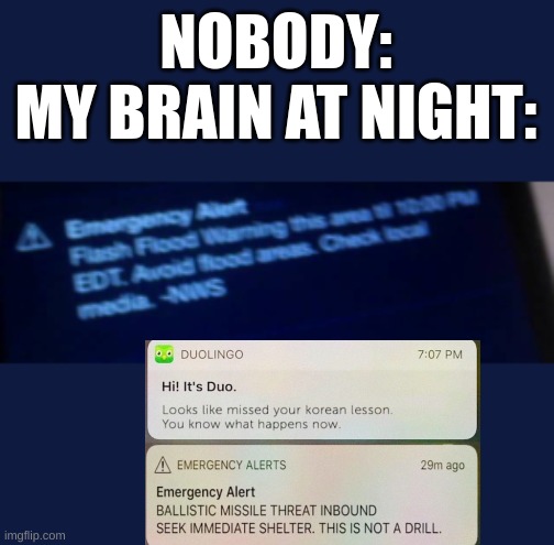 I cant sleep peacfully | NOBODY:
MY BRAIN AT NIGHT: | image tagged in memes,emergency alert system,night,my brain,sleep,life sucks | made w/ Imgflip meme maker