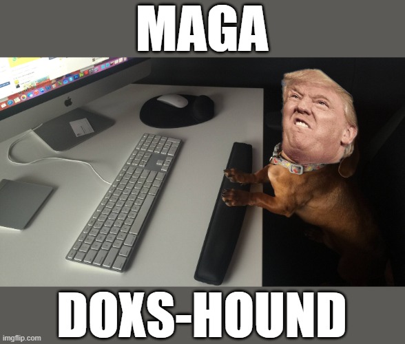 Tiny Doxing Crybaby MAGA Loser Trump | MAGA; DOXS-HOUND | image tagged in maga,rino,crybaby,change my mind,sore loser,biggest loser | made w/ Imgflip meme maker