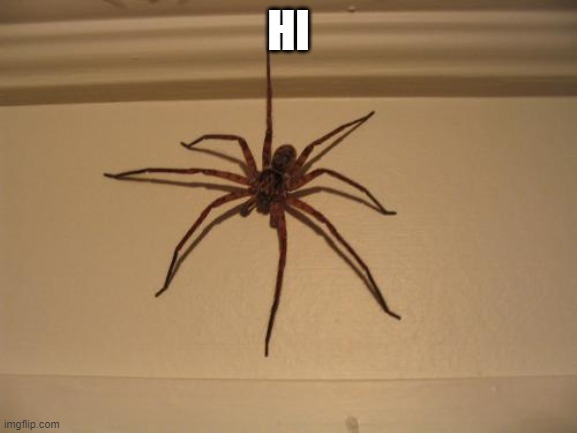 HI | image tagged in scumbag spider | made w/ Imgflip meme maker