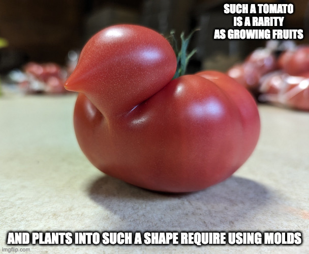 Duck-Shaped Tomato | SUCH A TOMATO IS A RARITY AS GROWING FRUITS; AND PLANTS INTO SUCH A SHAPE REQUIRE USING MOLDS | image tagged in tomato,memes | made w/ Imgflip meme maker