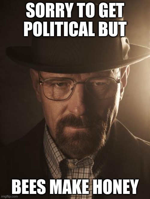 (5 upvotes and this goes in politics) | SORRY TO GET POLITICAL BUT; BEES MAKE HONEY | image tagged in walter white | made w/ Imgflip meme maker