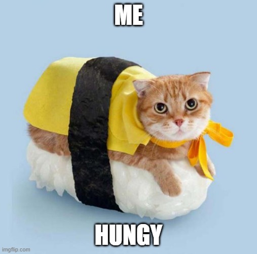 Cat Sushi | ME; HUNGY | image tagged in cat sushi | made w/ Imgflip meme maker