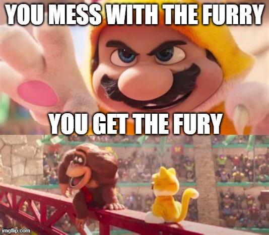 Mario's furriest moment | YOU MESS WITH THE FURRY; YOU GET THE FURY | image tagged in mario's furriest moment | made w/ Imgflip meme maker