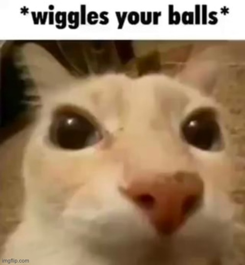 wiggle | made w/ Imgflip meme maker