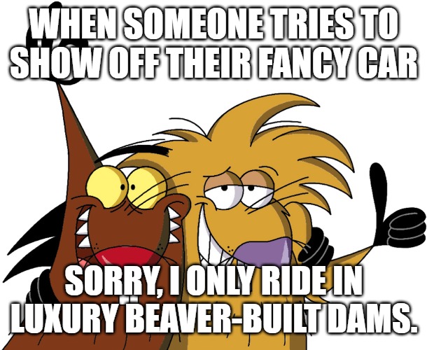 Beavers | WHEN SOMEONE TRIES TO SHOW OFF THEIR FANCY CAR; SORRY, I ONLY RIDE IN LUXURY BEAVER-BUILT DAMS. | image tagged in beavers | made w/ Imgflip meme maker