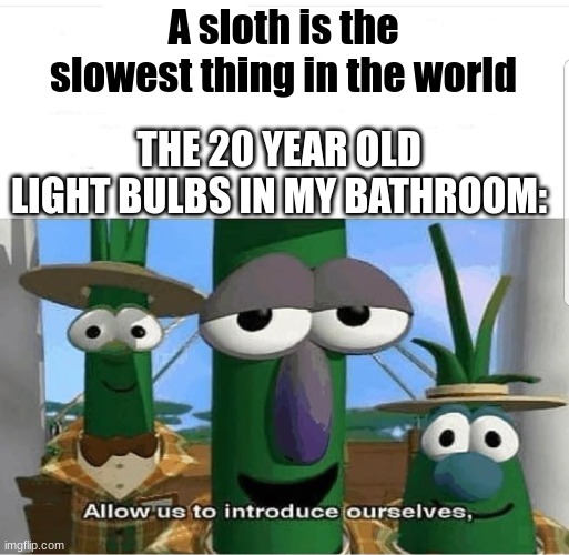Sorry but | A sloth is the slowest thing in the world; THE 20 YEAR OLD LIGHT BULBS IN MY BATHROOM: | image tagged in allow us to introduce ourselves,fun,funny,light bulb,slow,unfortunately for you | made w/ Imgflip meme maker
