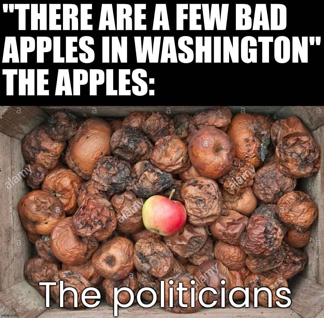 "THERE ARE A FEW BAD 
APPLES IN WASHINGTON"
THE APPLES:; The politicians | image tagged in political meme | made w/ Imgflip meme maker