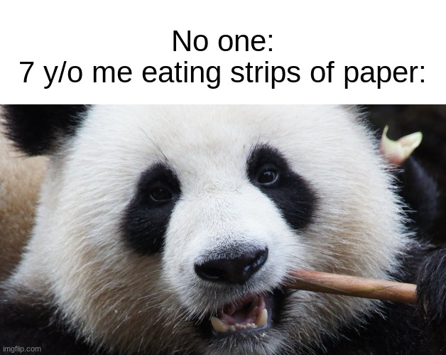Anyone done this years ago? | No one:
7 y/o me eating strips of paper: | image tagged in memes,panda,pandas,relatable memes,funny memes,dank memes | made w/ Imgflip meme maker
