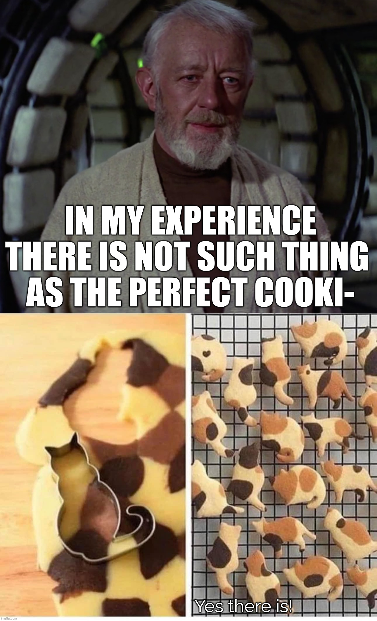 As close to perfection as I ever seen | IN MY EXPERIENCE
THERE IS NOT SUCH THING 
AS THE PERFECT COOKI-; Yes there is! | image tagged in in my experience there's no such thing as,perfection,cookies,cats | made w/ Imgflip meme maker