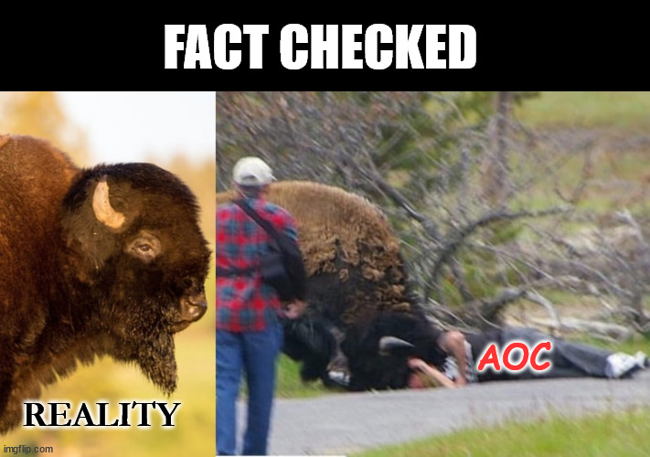 Reality strikes again. | FACT CHECKED; AOC; REALITY | image tagged in bison,aoc,crazy,fact check | made w/ Imgflip meme maker