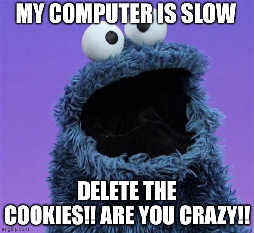 cookie monster | MY COMPUTER IS SLOW; DELETE THE COOKIES!! ARE YOU CRAZY!! | image tagged in cookie monster | made w/ Imgflip meme maker