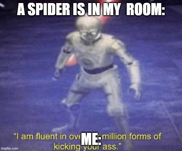 I am fluent in over six million forms of kicking your ass | A SPIDER IS IN MY  ROOM:; ME: | image tagged in i am fluent in over six million forms of kicking your ass | made w/ Imgflip meme maker
