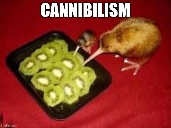 Cannibilism | CANNIBILISM | image tagged in memes | made w/ Imgflip meme maker