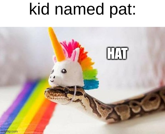 Snake with Unicorn Hat | HAT kid named pat: | image tagged in snake with unicorn hat | made w/ Imgflip meme maker