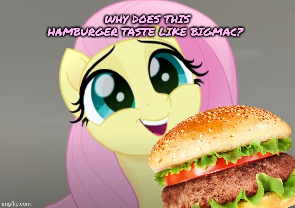 I have several questions | WHY DOES THIS HAMBURGER TASTE LIKE BIGMAC? | image tagged in do you wanna talk about it,i have several questions,fluttershy,big mac,nom nom nom | made w/ Imgflip meme maker