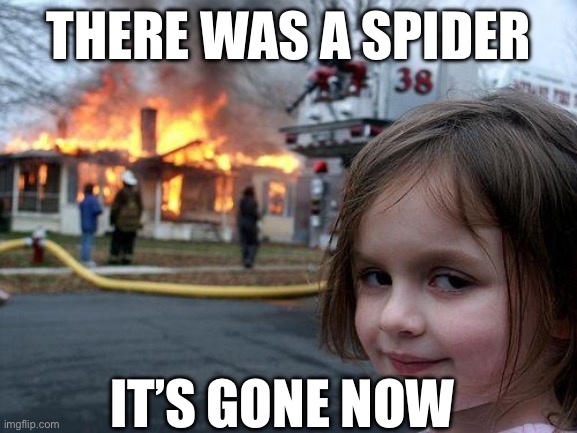 This is me | THERE WAS A SPIDER; IT’S GONE NOW | image tagged in memes,disaster girl | made w/ Imgflip meme maker