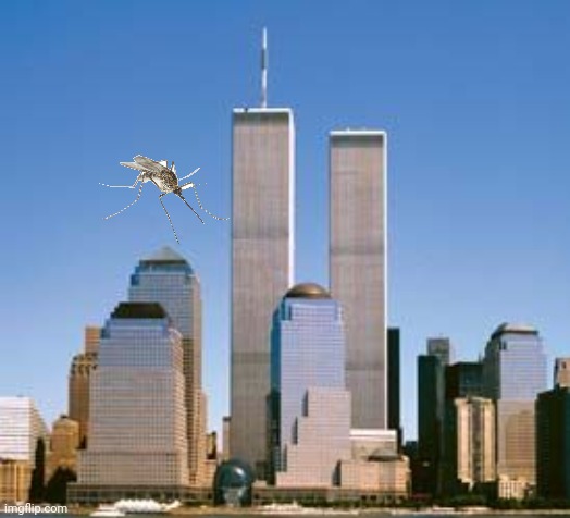 If 9/11 was in Florida | made w/ Imgflip meme maker