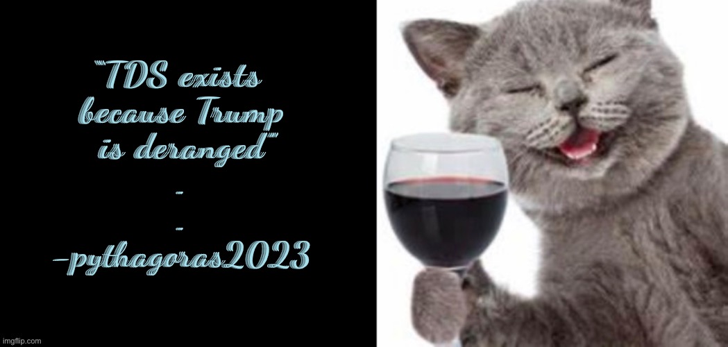 Toast to derangement syndrome | “TDS exists 
because Trump
 is deranged”
.
.
-pythagoras2023 | image tagged in cat lib toast,memes,vbackman | made w/ Imgflip meme maker