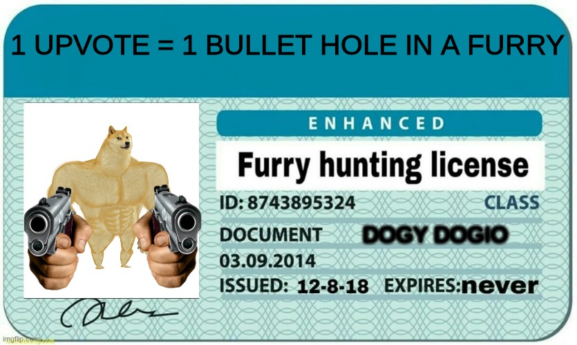 HAHEHHAHHEHPOHQEWUIRHV vwkjadfbg gfhdbgksnf cgdhdsg nhealkrehw *dies* | 1 UPVOTE = 1 BULLET HOLE IN A FURRY; DOGY DOGIO | image tagged in furry hunting license,lol so funny,anti furry,anti-furry,hello there,why are you reading the tags | made w/ Imgflip meme maker