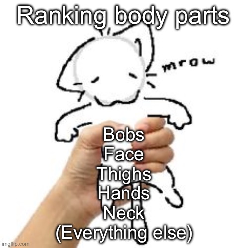 mrow | Ranking body parts; Bobs
Face
Thighs
Hands
Neck
(Everything else) | image tagged in mrow | made w/ Imgflip meme maker