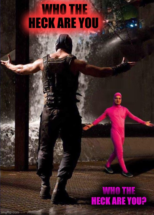 Pink Guy vs Bane | WHO THE HECK ARE YOU WHO THE HECK ARE YOU? | image tagged in pink guy vs bane | made w/ Imgflip meme maker