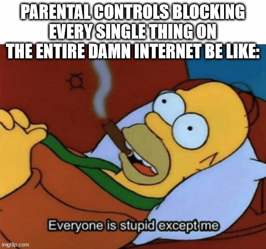 i have to deal with this bs | PARENTAL CONTROLS BLOCKING EVERY SINGLE THING ON THE ENTIRE DAMN INTERNET BE LIKE: | image tagged in everyone is stupid except me,bullshit,certified bruh moment | made w/ Imgflip meme maker