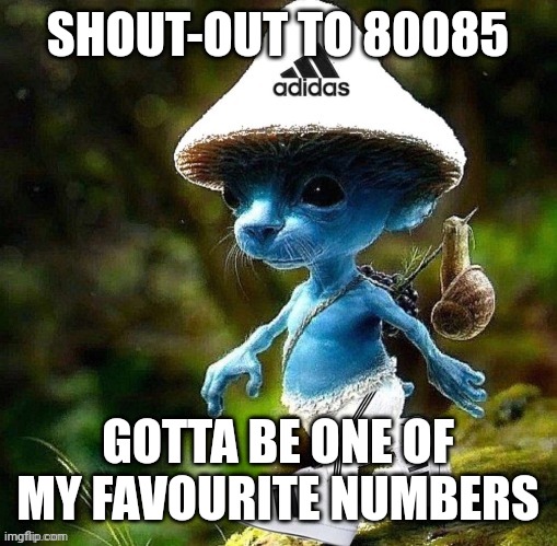 Iykyk | SHOUT-OUT TO 80085; GOTTA BE ONE OF MY FAVOURITE NUMBERS | image tagged in smurf cat drip | made w/ Imgflip meme maker