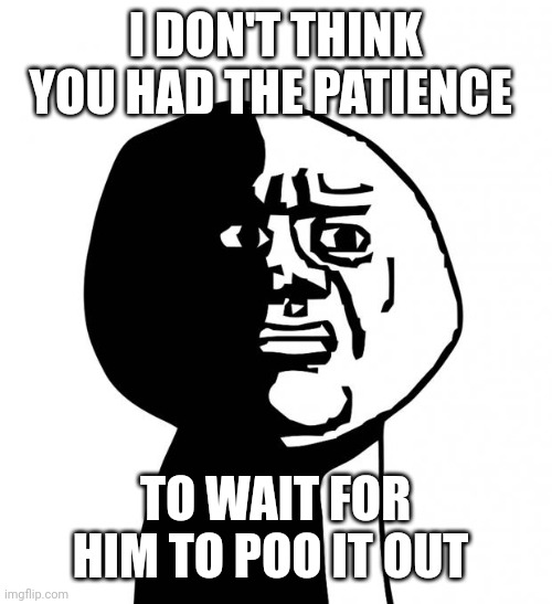 Oh god why | I DON'T THINK YOU HAD THE PATIENCE TO WAIT FOR HIM TO POO IT OUT | image tagged in oh god why | made w/ Imgflip meme maker