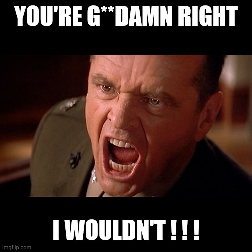 Colonel Jessup screaming in "A Few Good Men" | YOU'RE G**DAMN RIGHT I WOULDN'T ! ! ! | image tagged in colonel jessup screaming in a few good men | made w/ Imgflip meme maker