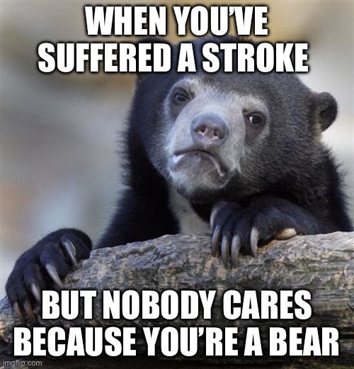 Stroke Bear | WHEN YOU’VE SUFFERED A STROKE; BUT NOBODY CARES BECAUSE YOU’RE A BEAR | image tagged in memes,confession bear | made w/ Imgflip meme maker
