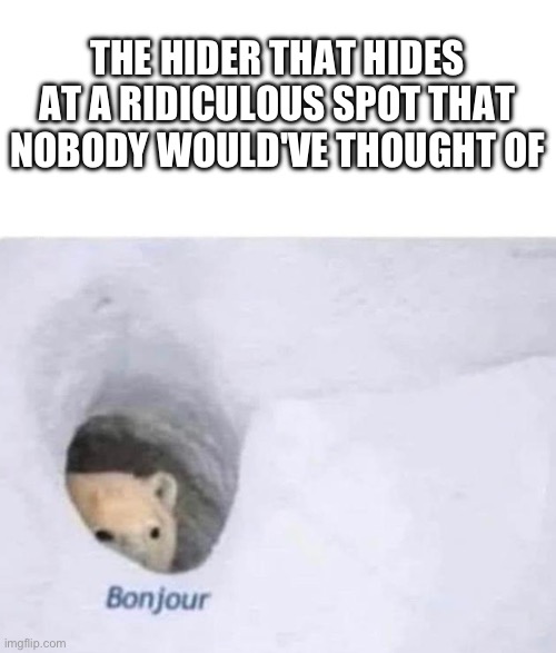 Bonjour | THE HIDER THAT HIDES AT A RIDICULOUS SPOT THAT NOBODY WOULD'VE THOUGHT OF | image tagged in bonjour | made w/ Imgflip meme maker