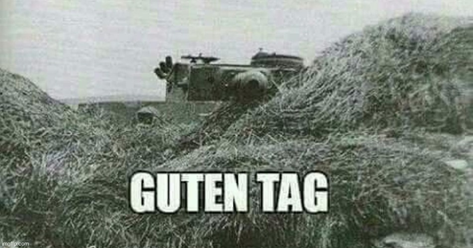 German guten tag tiger | image tagged in german guten tag tiger | made w/ Imgflip meme maker