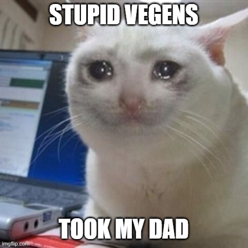 Crying cat | STUPID VEGENS TOOK MY DAD | image tagged in crying cat | made w/ Imgflip meme maker