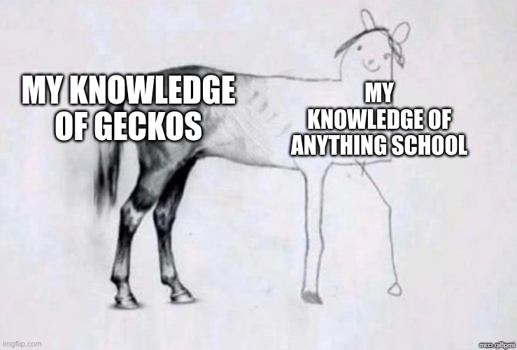 i like geckos | MY KNOWLEDGE OF GECKOS; MY KNOWLEDGE OF ANYTHING SCHOOL | image tagged in horse drawing | made w/ Imgflip meme maker