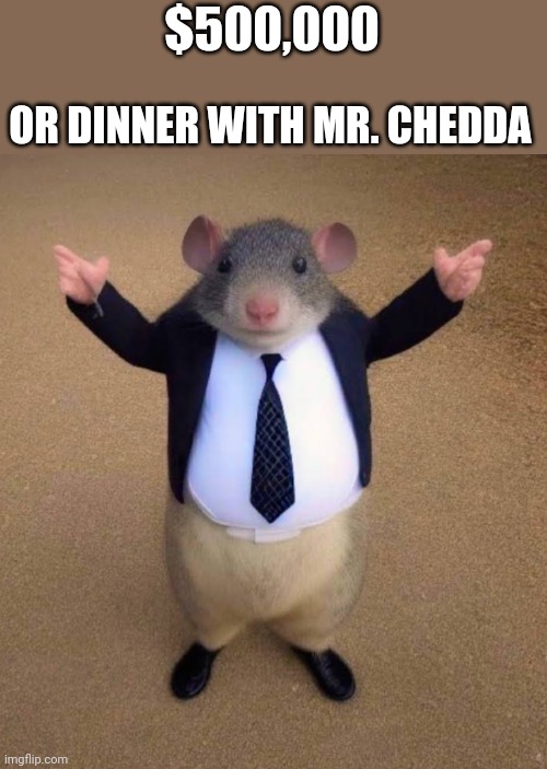I'm going for dinner | $500,000; OR DINNER WITH MR. CHEDDA | image tagged in mouse,money | made w/ Imgflip meme maker