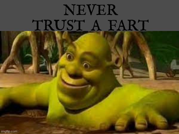 go to comments if you don't get the joke | NEVER TRUST  A  FART | image tagged in shrek,jbjbm | made w/ Imgflip meme maker