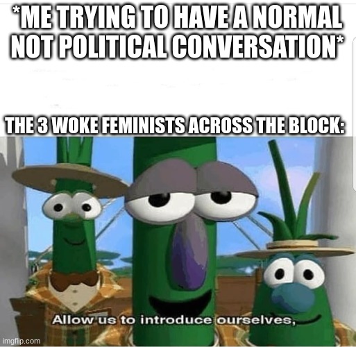 allow us to insert our selves in the conversation | *ME TRYING TO HAVE A NORMAL NOT POLITICAL CONVERSATION*; THE 3 WOKE FEMINISTS ACROSS THE BLOCK: | image tagged in allow us to introduce ourselves | made w/ Imgflip meme maker