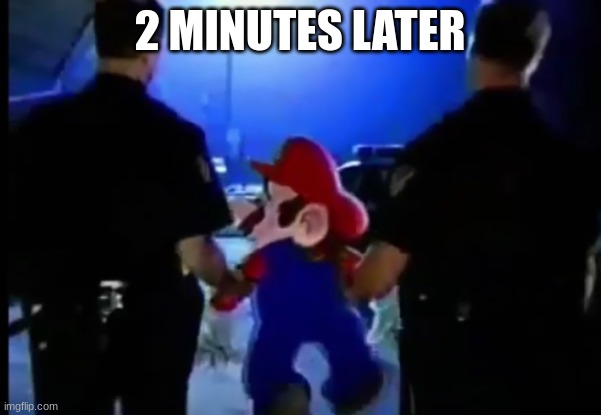 Mario gets arrested | 2 MINUTES LATER | image tagged in mario gets arrested | made w/ Imgflip meme maker
