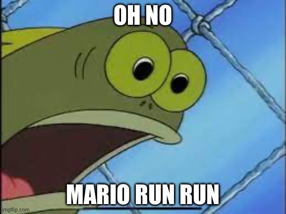 You what | OH NO MARIO RUN RUN | image tagged in you what | made w/ Imgflip meme maker