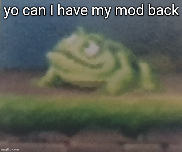 Frogoon | yo can I have my mod back | image tagged in frogoon | made w/ Imgflip meme maker