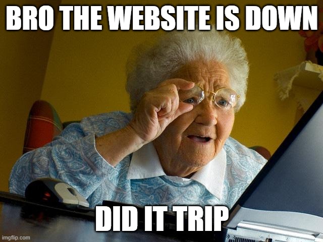 did it trip | BRO THE WEBSITE IS DOWN; DID IT TRIP | image tagged in memes,grandma finds the internet | made w/ Imgflip meme maker