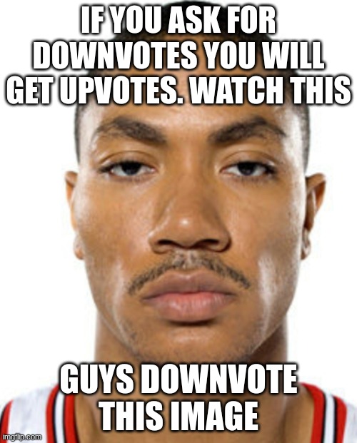 Derrick Rose Straight Face | IF YOU ASK FOR DOWNVOTES YOU WILL GET UPVOTES. WATCH THIS; GUYS DOWNVOTE THIS IMAGE | image tagged in derrick rose straight face | made w/ Imgflip meme maker