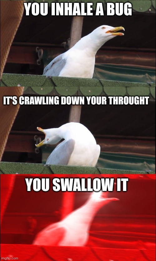 True tho | YOU INHALE A BUG; IT'S CRAWLING DOWN YOUR THROUGHT; YOU SWALLOW IT | image tagged in inhaling pigeon | made w/ Imgflip meme maker