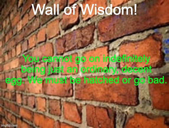 Wall of Wisdom! You cannot go on indefinitely being just an ordinary, decent egg. We must be hatched or go bad. | made w/ Imgflip meme maker