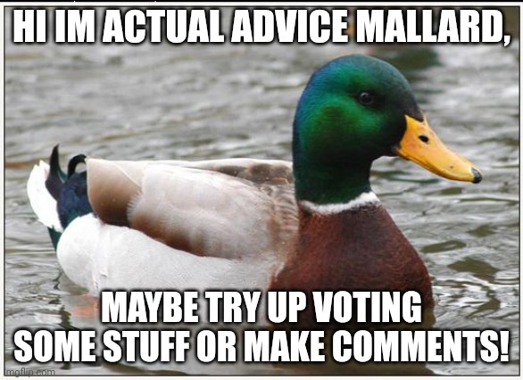 Actual Advice Mallard Meme | HI IM ACTUAL ADVICE MALLARD, MAYBE TRY UP VOTING SOME STUFF OR MAKE COMMENTS! | image tagged in memes,actual advice mallard | made w/ Imgflip meme maker