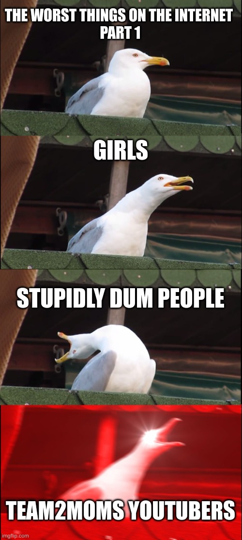 Inhaling Seagull | THE WORST THINGS ON THE INTERNET 
PART 1; GIRLS; STUPIDLY DUM PEOPLE; TEAM2MOMS YOUTUBERS | image tagged in memes,inhaling seagull | made w/ Imgflip meme maker