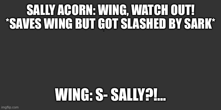 Sally’s Sacrifice | SALLY ACORN: WING, WATCH OUT! *SAVES WING BUT GOT SLASHED BY SARK*; WING: S- SALLY?!… | image tagged in void | made w/ Imgflip meme maker