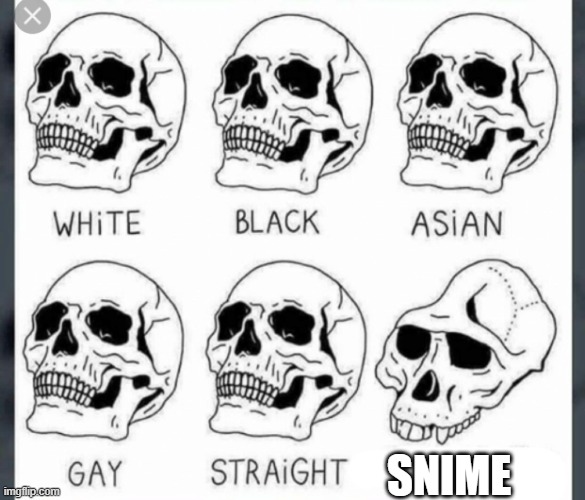 White Black Asian Gay Straight skull template | SNIME | image tagged in white black asian gay straight skull template | made w/ Imgflip meme maker