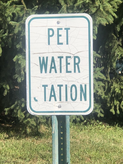 Pet water Tation? XD | image tagged in pet water sign fail | made w/ Imgflip meme maker